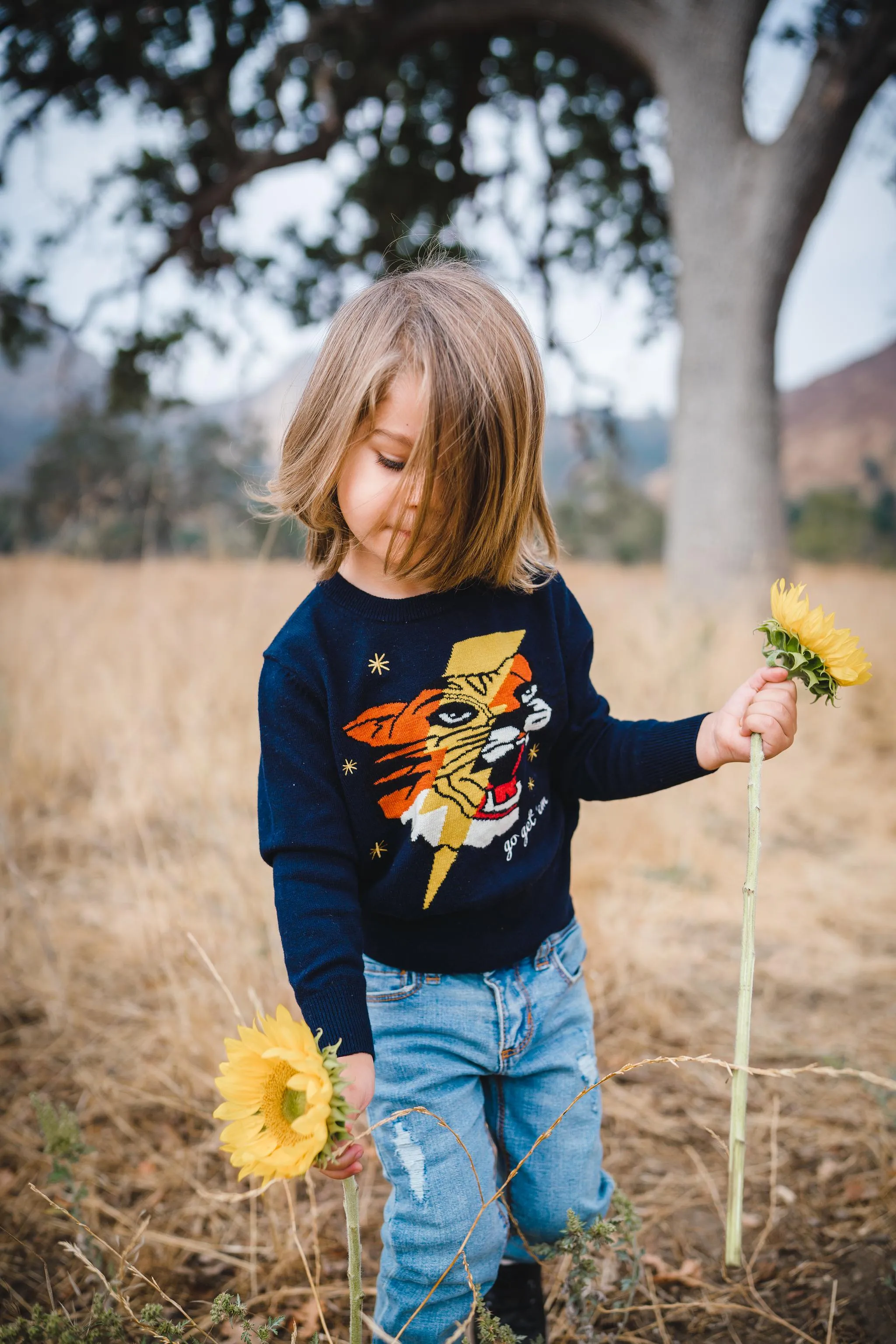 Go Get 'Em Tiger Sweater Navy