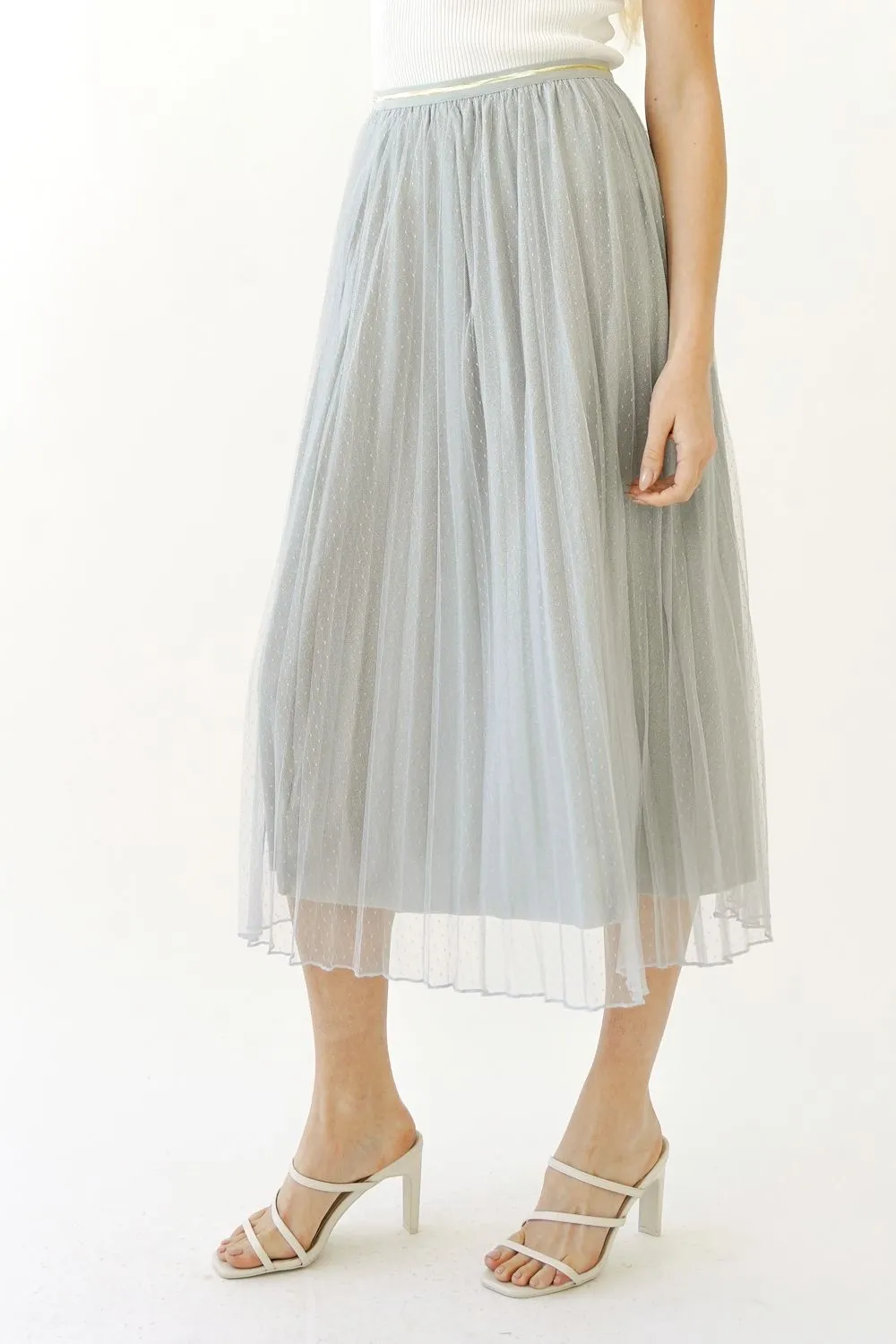 Tulle Skirt